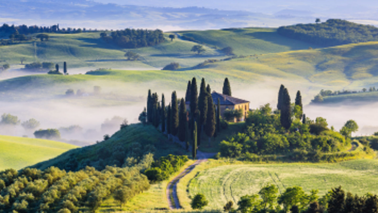 Avis 600x200 - 600x200_NL