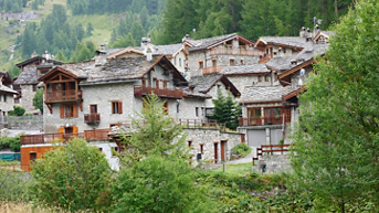 Media Image
