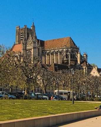 Media Image