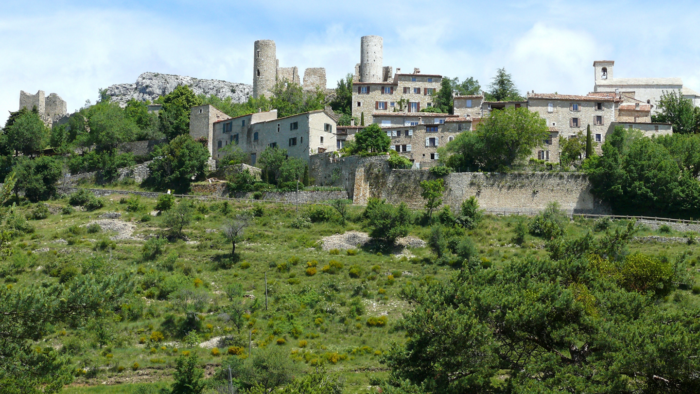 Media Image