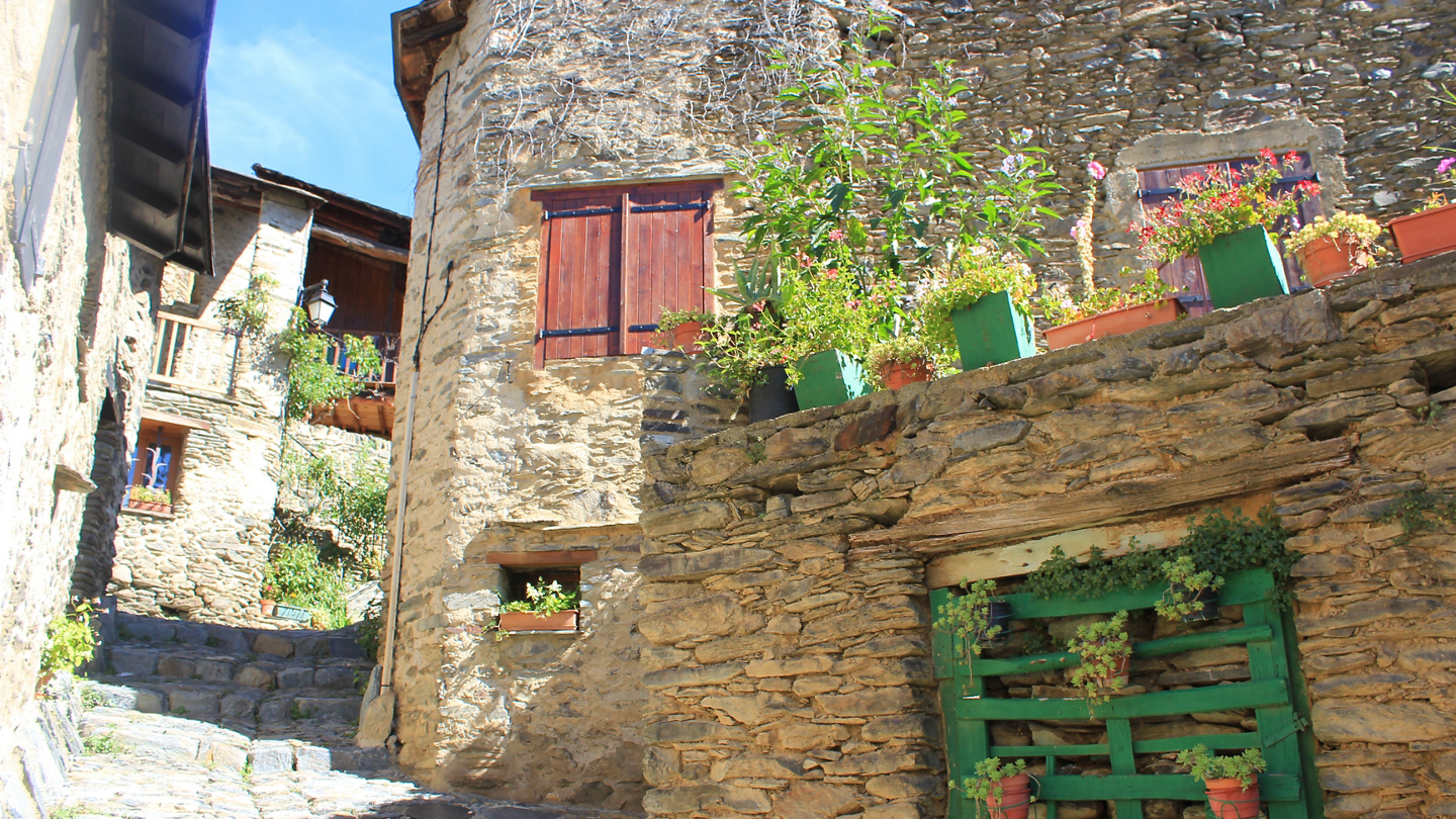 Media Image