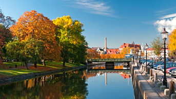 Media Image