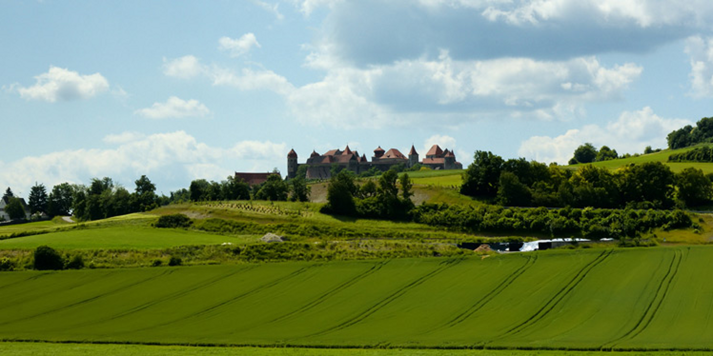 Media Image