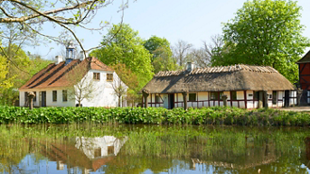 Media Image