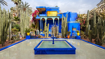 Media Image