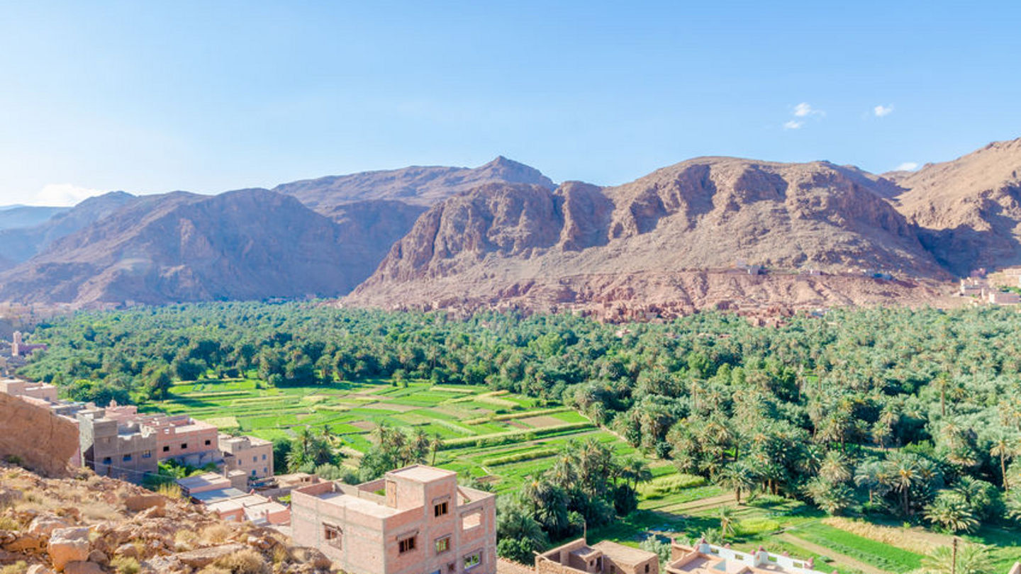 80147767 - beautiful lush green oasis with buildings and mountains at todra gorge, morocco, north africa