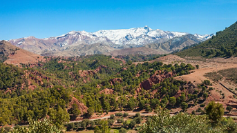 Media Image