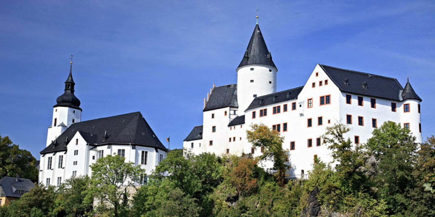 Media Image
