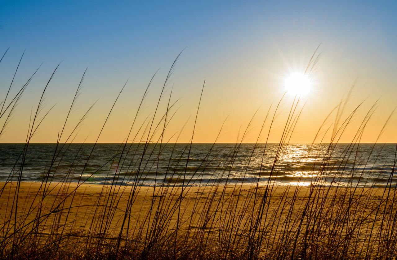 Content Module Image