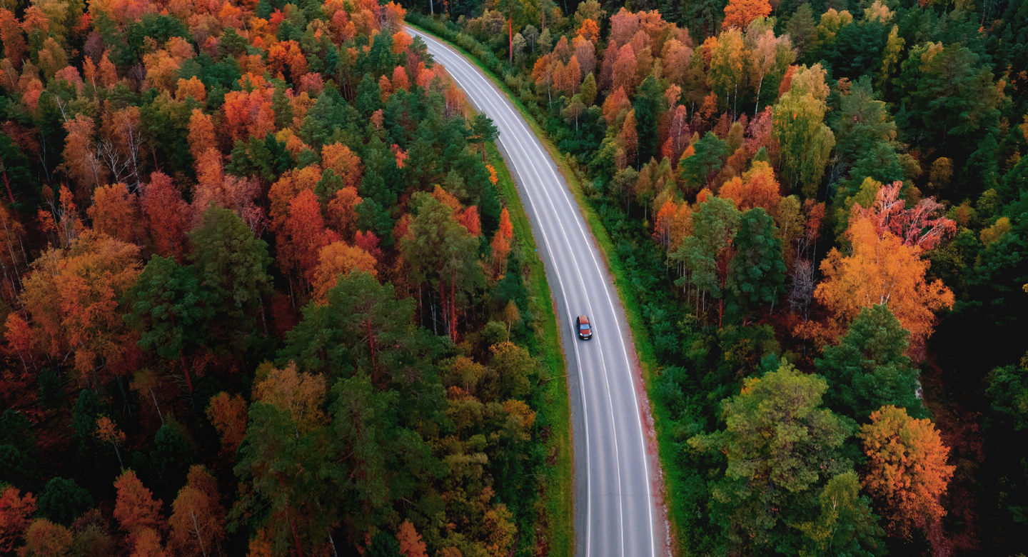 Aerial top view Nature autumn road in yellow forest, concept of trip by red car.