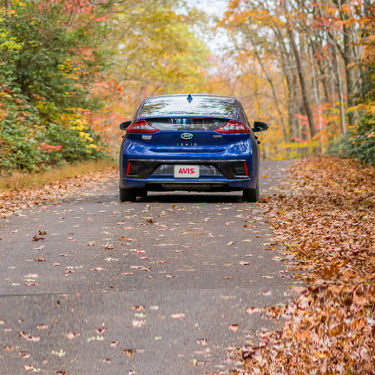 full-image-card-image