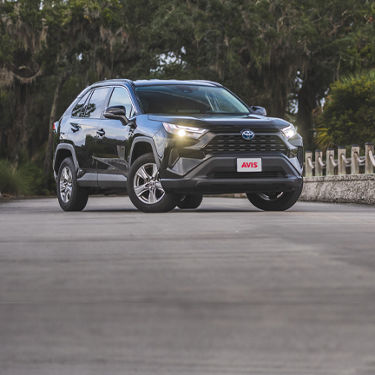 full-image-card-image