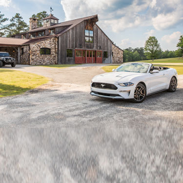 full-image-card-image