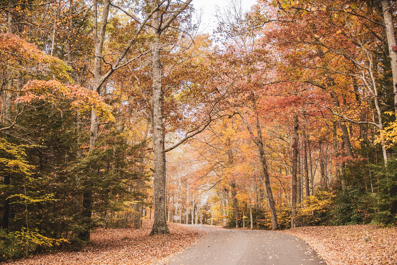 Content Module Image