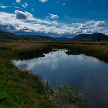 full-image-card-image