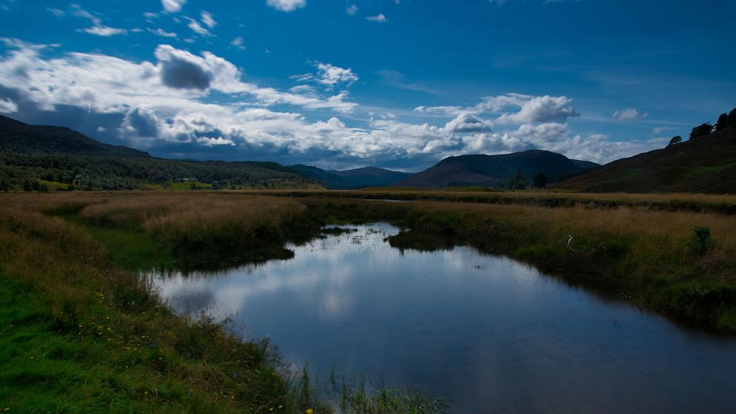 full-image-card-image