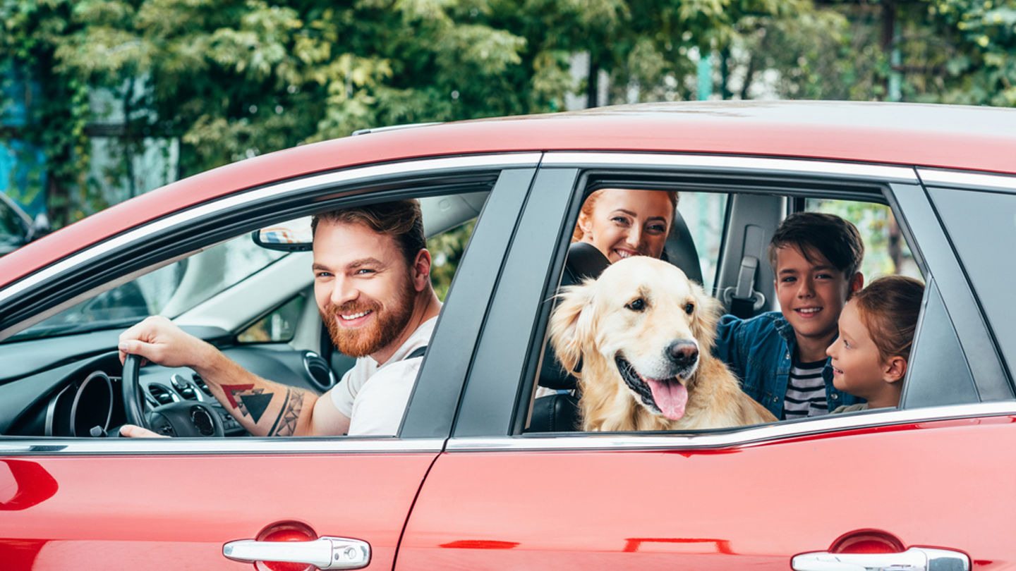 avis-lifestyle-family-with-dog-in-car-1000x667.jpg