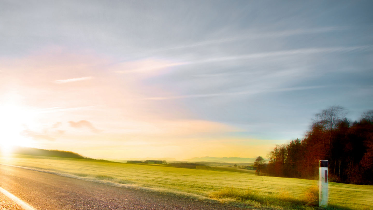 avis-op-local-2440x1000.jpg
