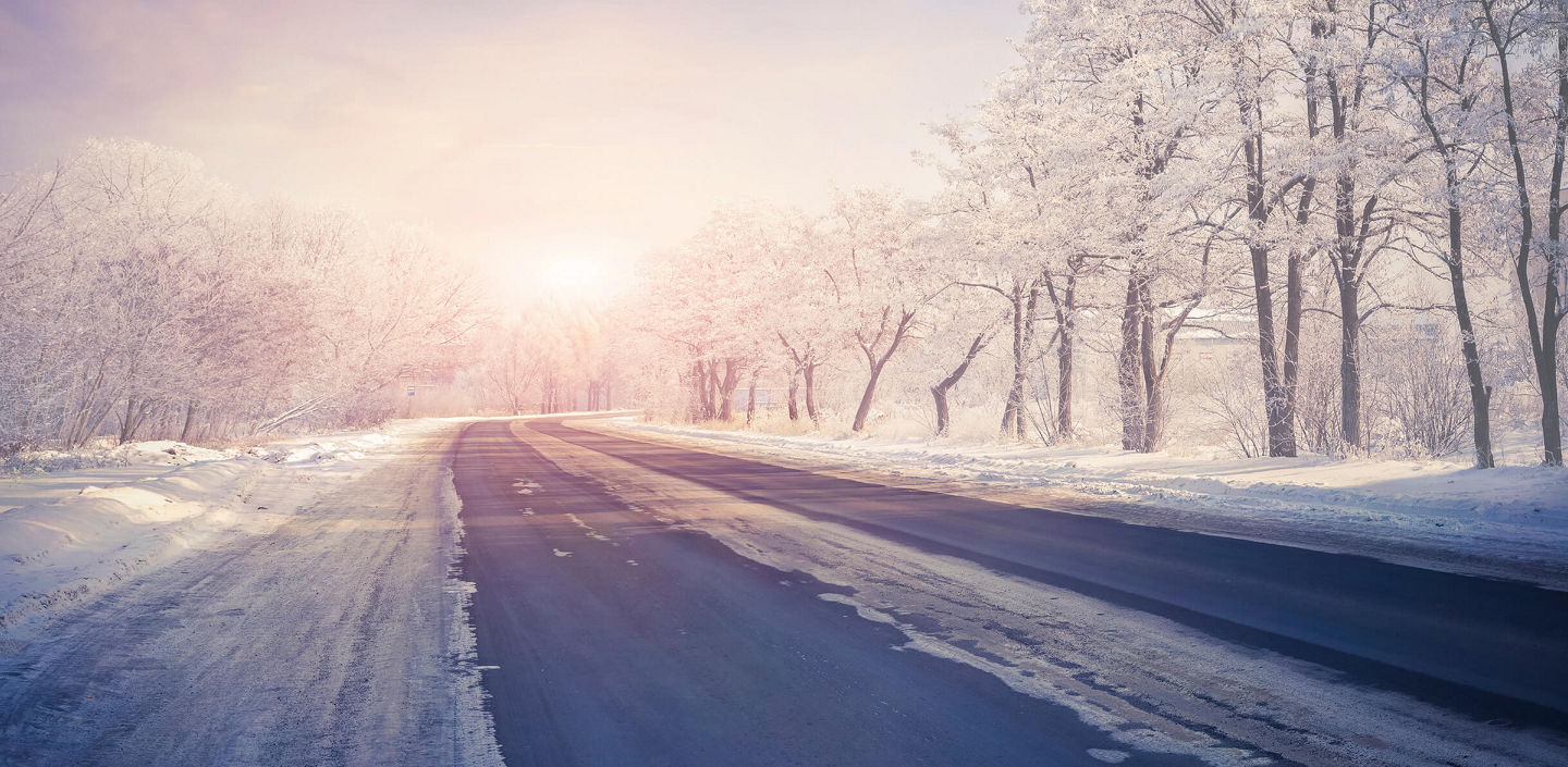 avis-winter-new-homepage.jpg