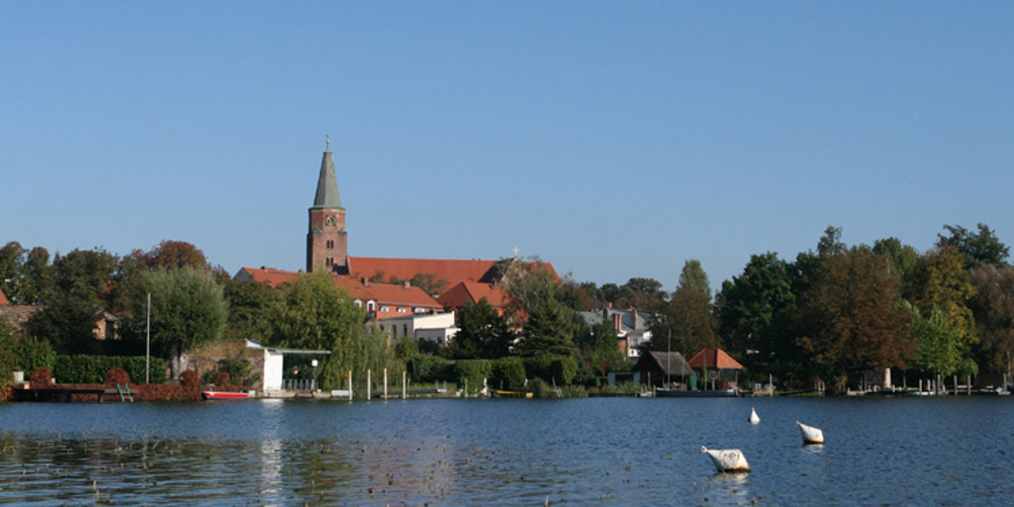 Media Image