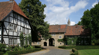 Media Image