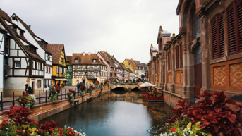 Media Image