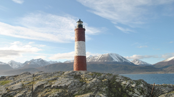 Media Image