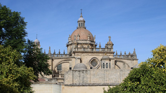 Media Image