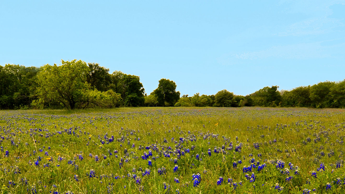 location-mckinney-texas-2440x1000.png