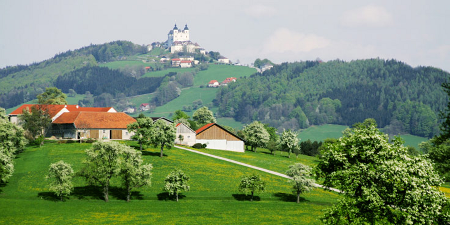 Media Image