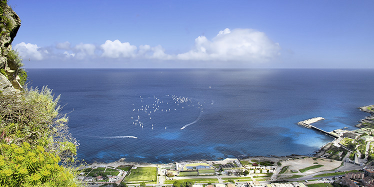 Media Image