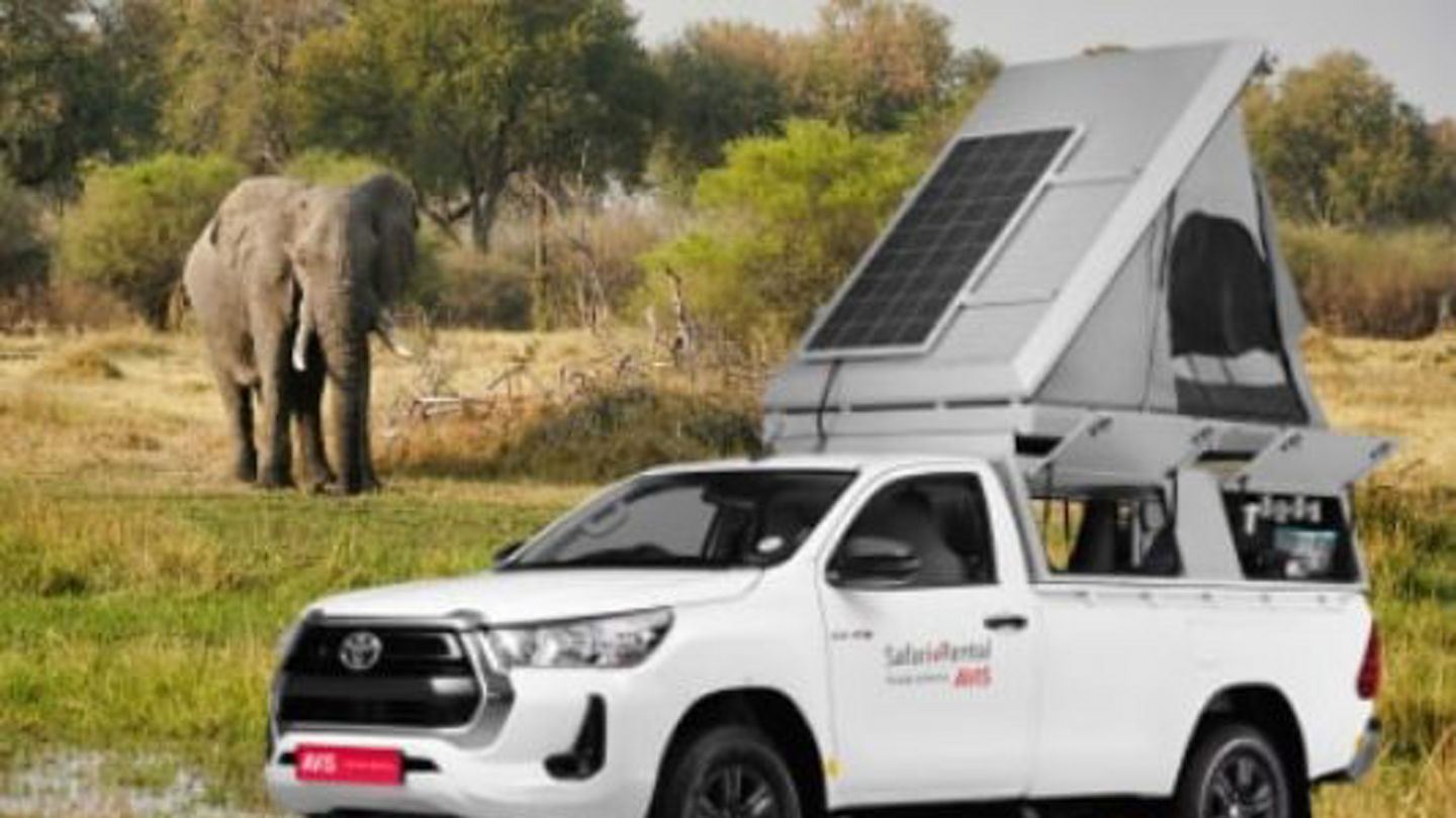 safari_group_a.jpg