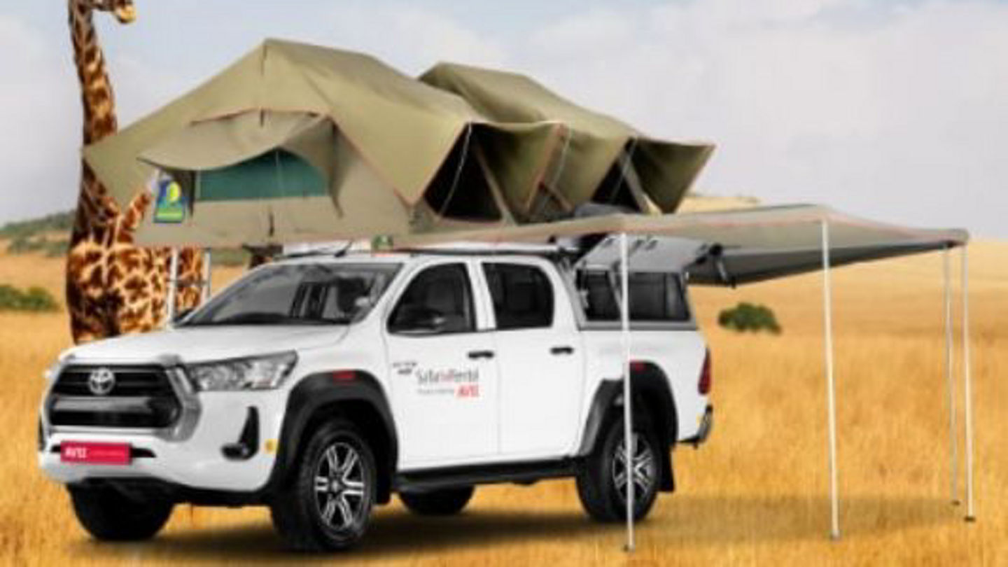 safari_group_n.jpg