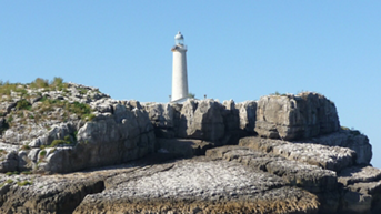 Media Image