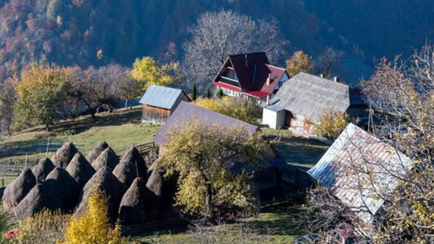 sat-maguri-racatau-533x355.jpg
