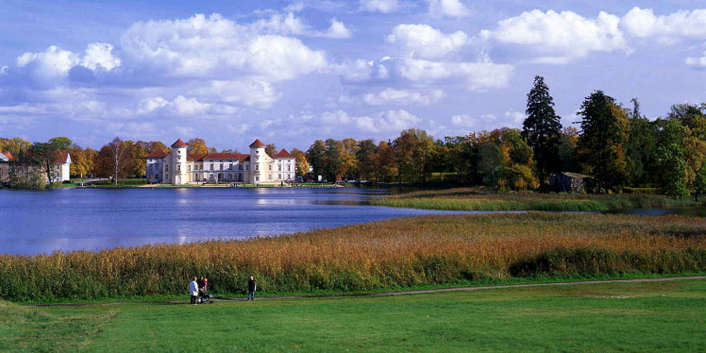 Media Image