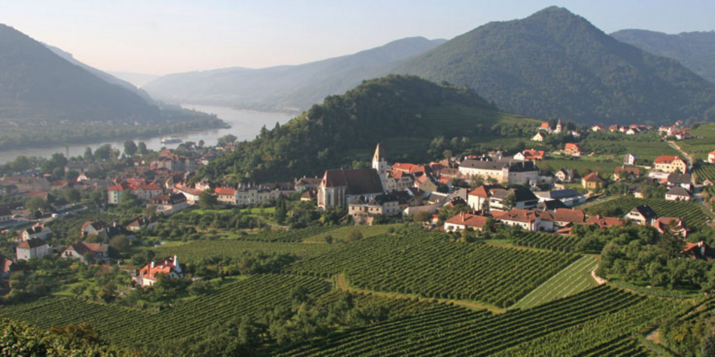 Media Image