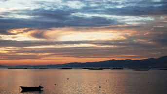 Media Image