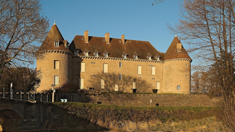 Media Image