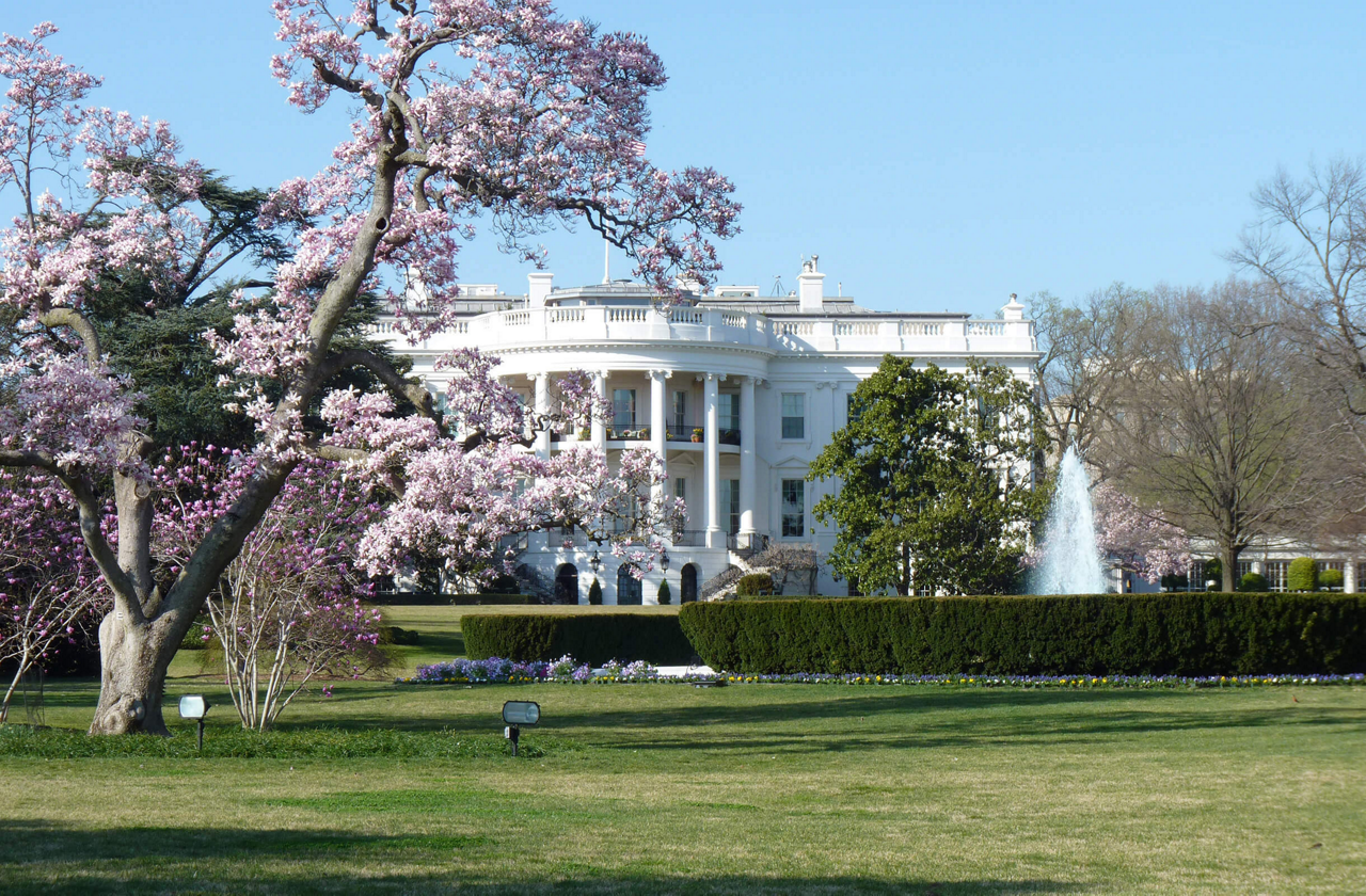 Content Module Image