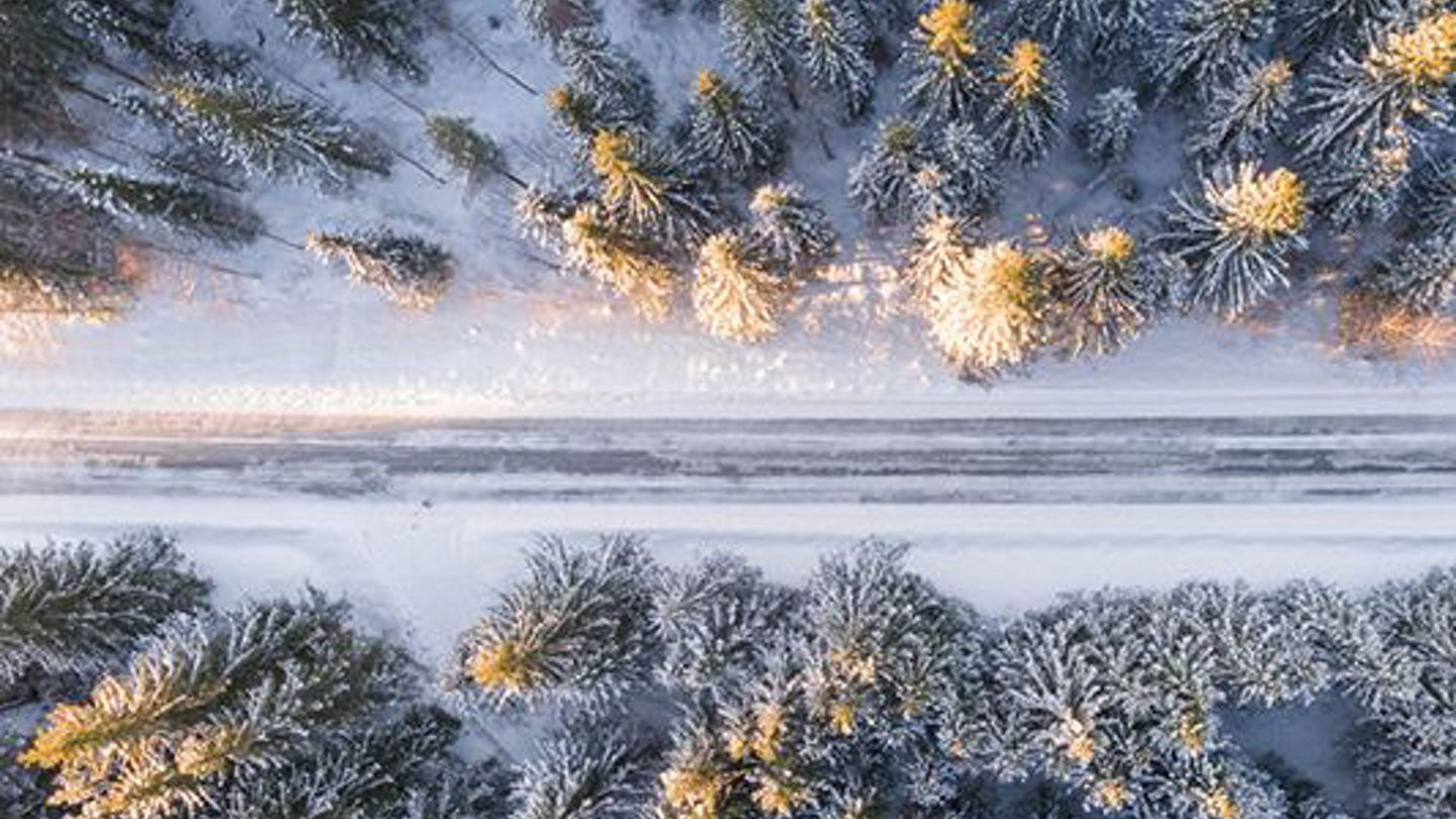 winter-season-promobox-8.jpg